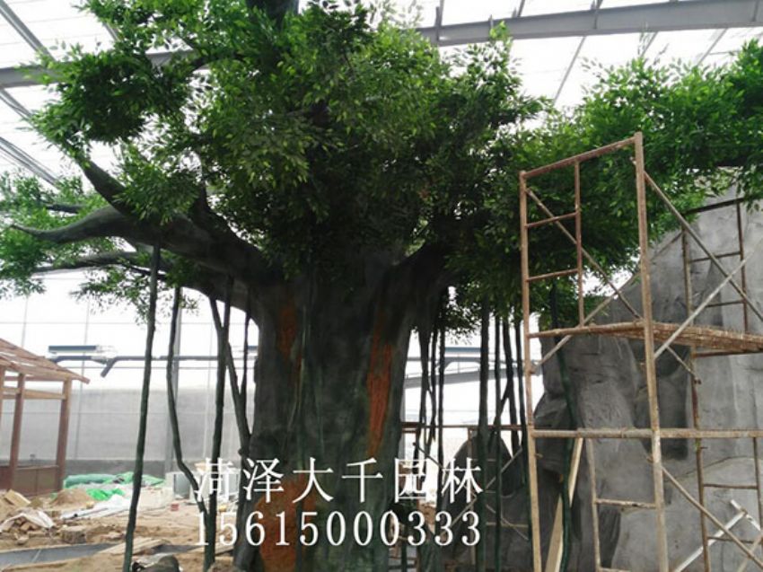 點擊查看詳細信息<br>標(biāo)題：假樹 閱讀次數(shù)：1529