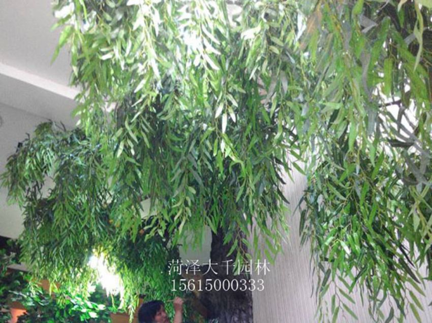 點擊查看詳細信息<br>標題：假樹 閱讀次數：1456