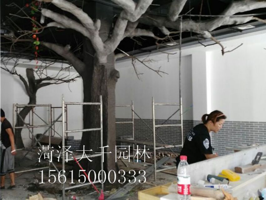 點擊查看詳細信息<br>標題：假樹 閱讀次數：1462