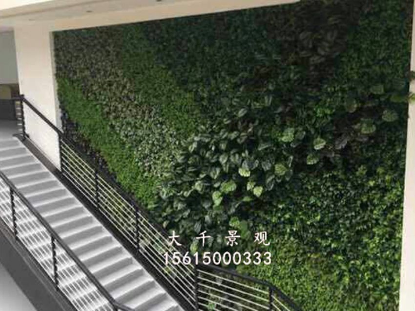 點擊查看詳細信息<br>標題：綠植墻 閱讀次數：1773