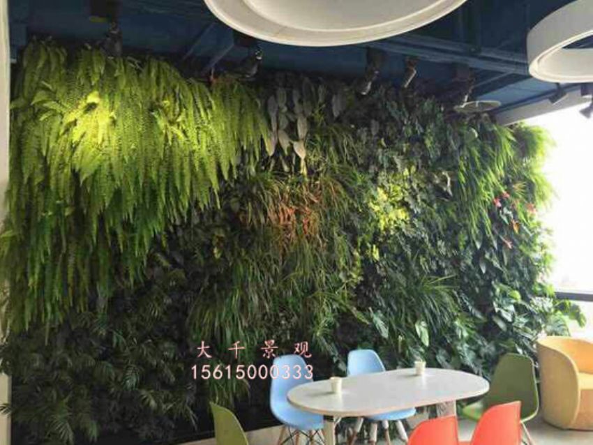 點擊查看詳細信息<br>標題：綠植墻 閱讀次數：2046