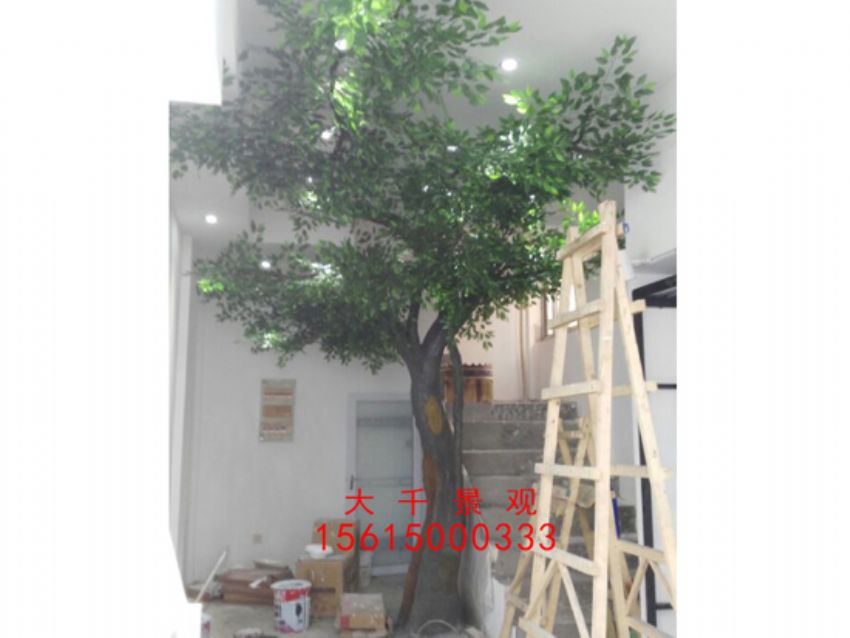 點擊查看詳細信息<br>標題：瓷磚磁瓦 閱讀次數：2441