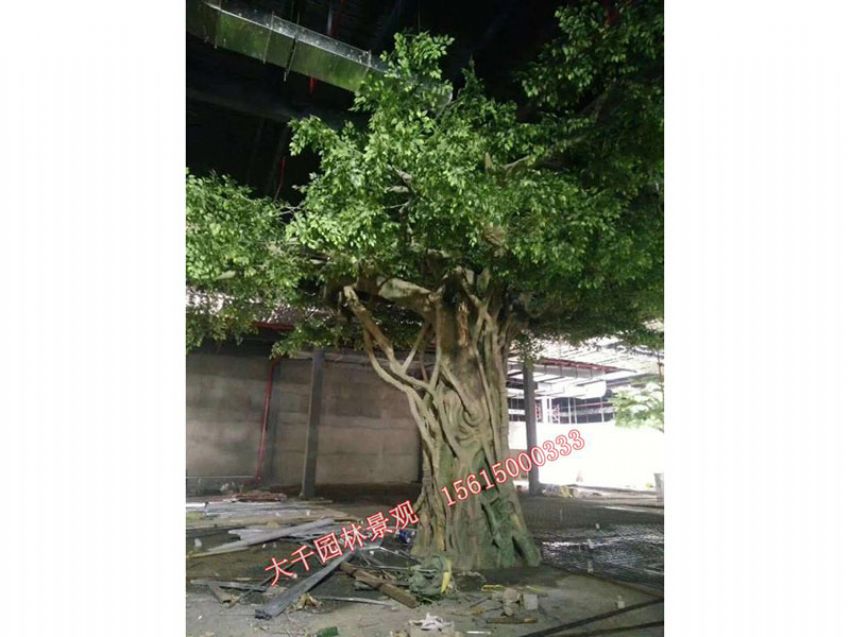 點擊查看詳細信息<br>標題：假樹 閱讀次數：2619