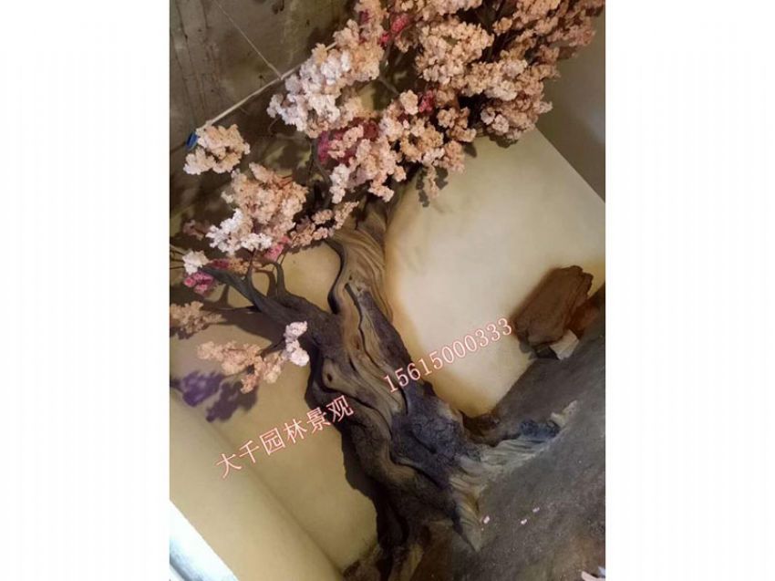 點擊查看詳細信息<br>標題：假樹 閱讀次數：2657